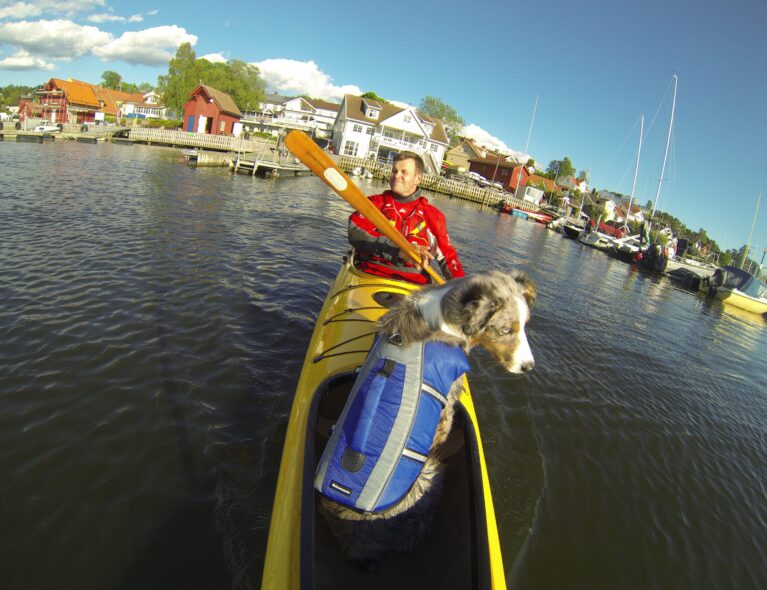 Vil du ha hunden med i kajakken?