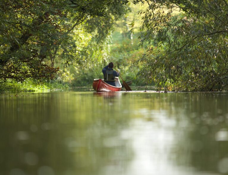 Verdensdagen for å forebygge drukning