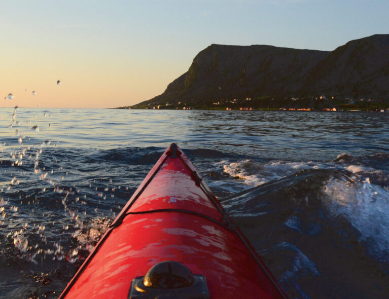 Fluer – skjulte farer