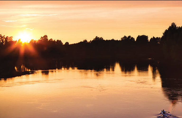 Revolusjonær i naturens tjeneste