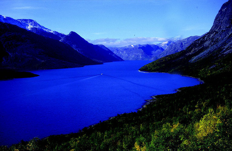 Høyt og lavt i Jotunheimen