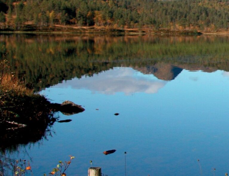 Flott runde gjennom vakker natur