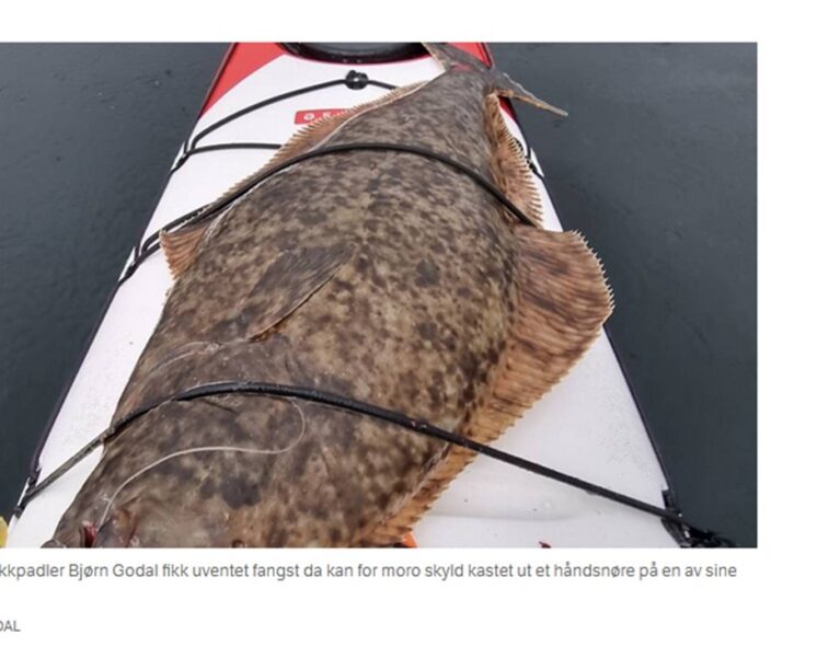 Fikk 8 kilos kveite fra kajakk!