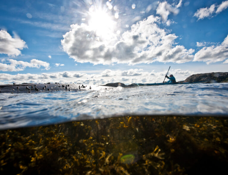 Planen er halve turen