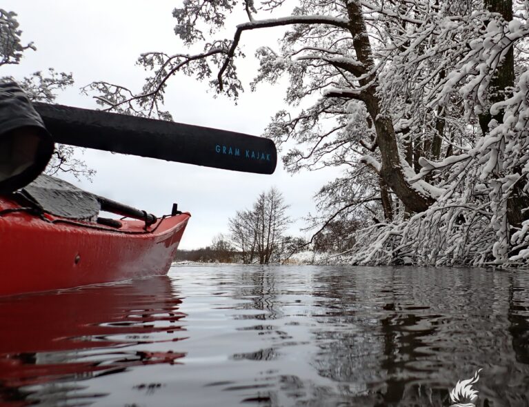 Kong vinter visiterer Danmark