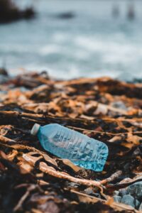 plastflaske i fjæra