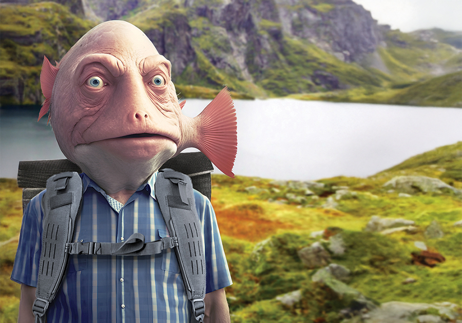 Du er ikke en fisk – men du kan redde liv