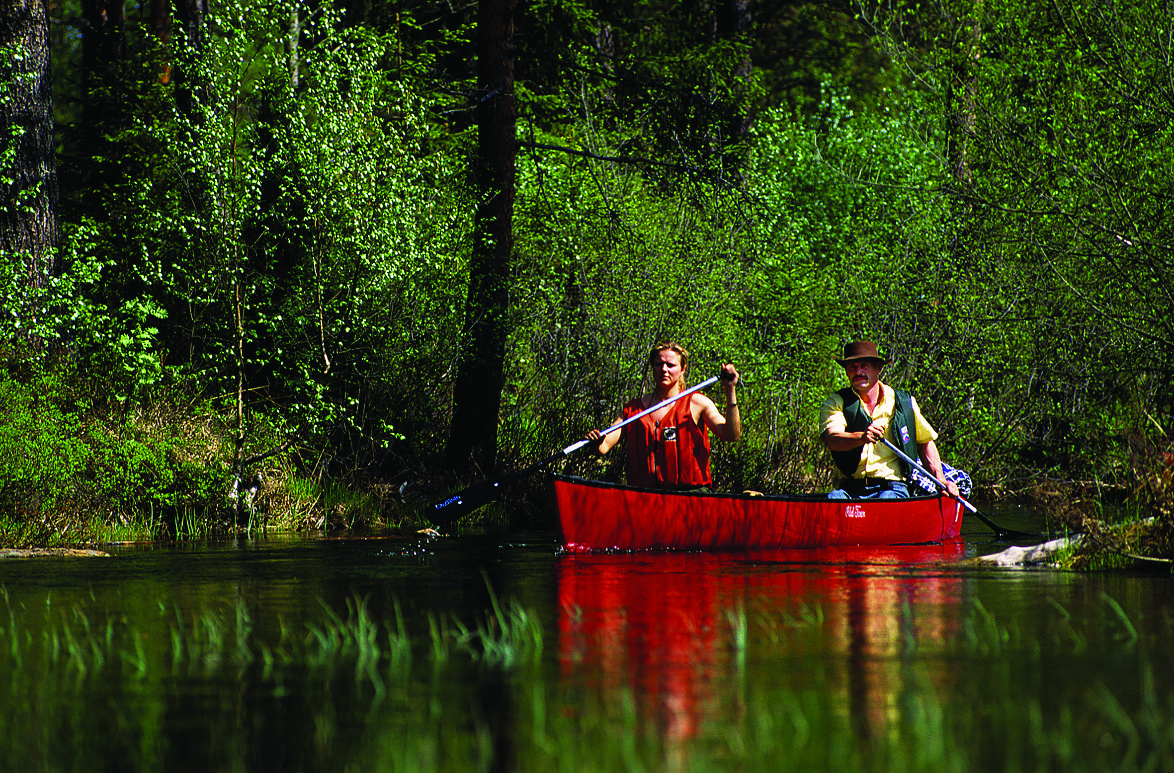 Søk studier: Kano og leirliv