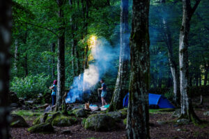 Blått telt i grønn skog