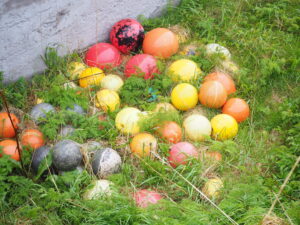 garnblåser på land